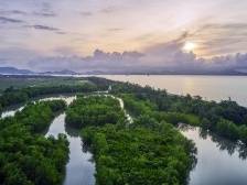 第二批主题教育为何强调“四下基层”丨政观广东