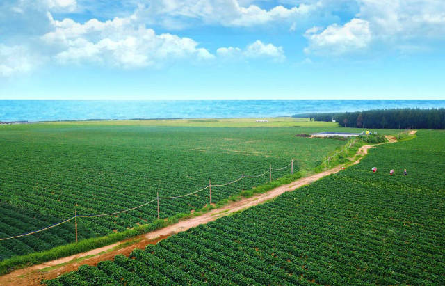 陆丰植物龙生态农业发展有限公司科技产业园