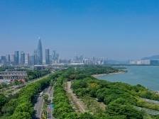 区势｜发力冲刺全年KPI，深圳各区秀出“看家本领”