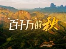 丹山碧水青绿绕，一排金黄送秋来