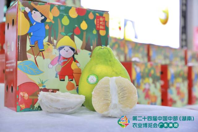 志锐生态梅州金柚