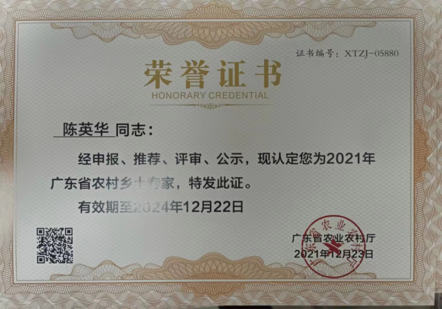2021年，陈英华被广东省农业农村厅评选为&ldquo;广东省农村乡土专家&rdquo;。受访者供图