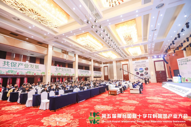 第五届邢台国际十字花科蔬菜产业大会现场
