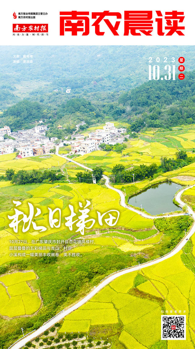 南方农村报 樊静东 制图