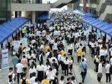 茂名滨海新区青年群体专场招聘会岗位抢先看，11月1日约定你