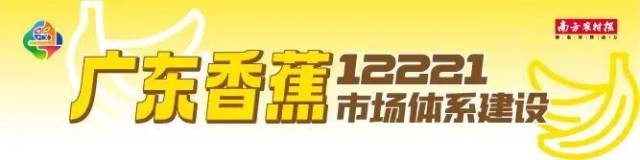 全球香蕉出口减少120万吨，香蕉枯萎病TR4是主因之一