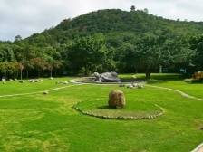 发力“百千万”·南澳新五章④森林公园：海岛“绿肺”如何提质升级？