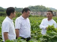 镇委书记打擂台｜肇庆江屯镇：打造广宁北部中心镇、县域副中心