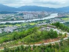 护绿增绿用绿，铺就更多“绿美蕉岭”实景图