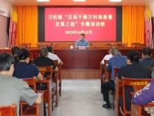 兴宁市刁坊镇开展“百千万工程”专题培训班