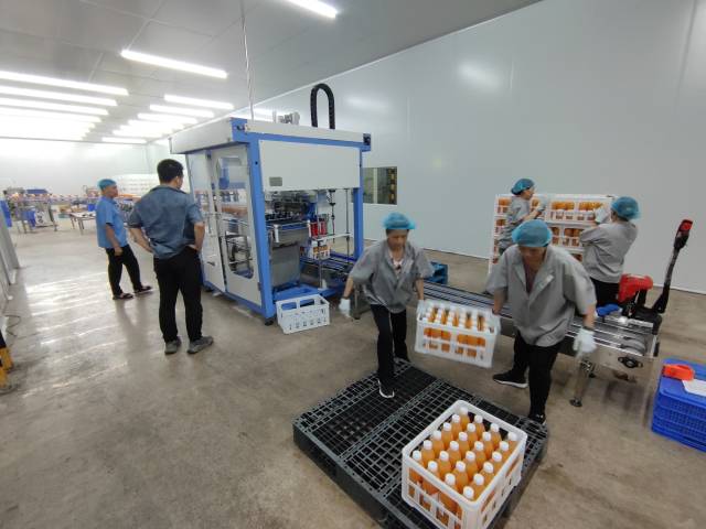 工作人员在搬运脐橙果汁。