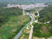 “百千万”·看潮南⑧雷岭镇：“红绿特”融合，提升“镇”能量