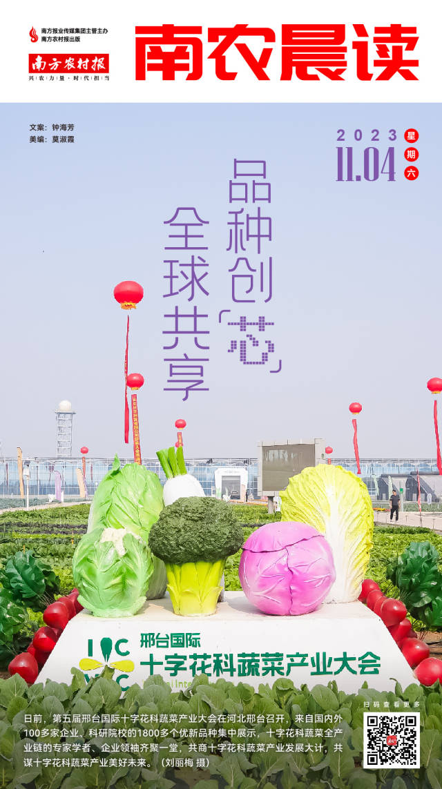 南方農(nóng)村報(bào) 樊靜東 拍攝