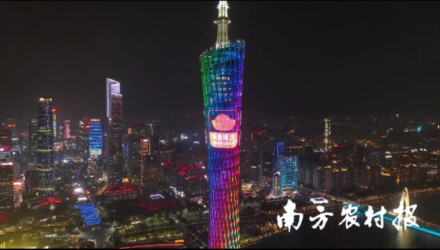 2023年11月3日晚，新会陈皮公用品牌点亮广州塔。