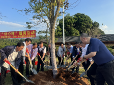 梅州：携手栽种“客商林”“侨心林”，共促绿美广东生态建设