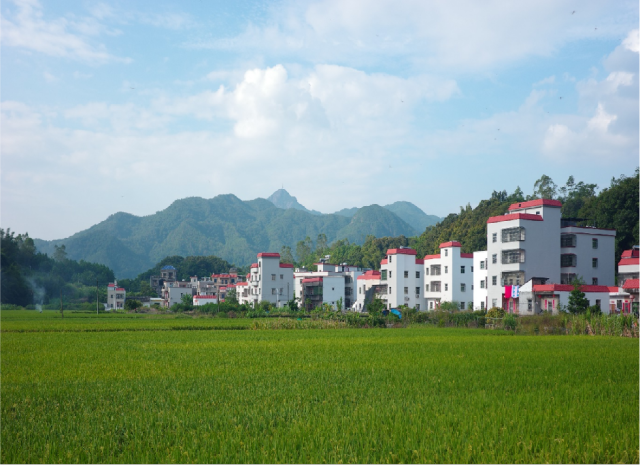 陆河坚持治旧控新并举，有效提升全域农房风貌。