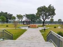 南方日报头版丨“百千万工程”纵深推进，广东千镇崛起新势力