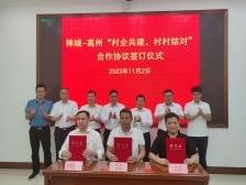 超燃！佛山帮扶“天团”与高州20条行政村成功牵手