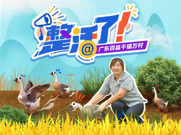 被潮汕话难哭?看东北“鹅教授”在饶平“旺禽”逆袭|整活了@广东“百千万”