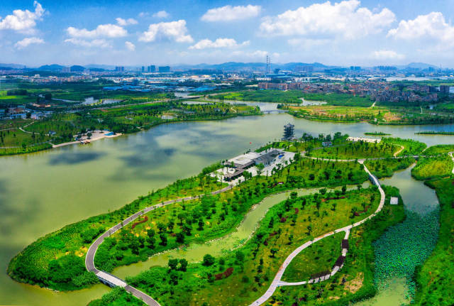 东莞华阳湖入选全国第二批美丽河湖优秀案例（东莞市麻涌镇供图）