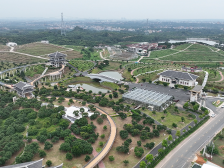 茂名高州：让“土特产”成为“金招牌”