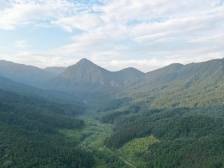 肇庆市怀集县古城村：“岳山造林”光荣传统在城乡生根发芽