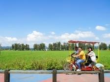 文晓巍：广东乡村具备深度参与“双循环”的先天优势