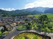 乘着“百千万工程”东风，广东万村美美与共