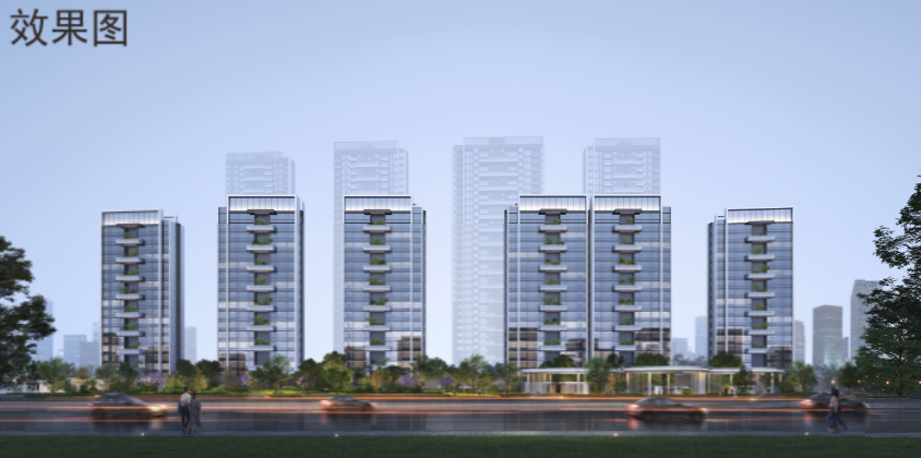 项目效果图。