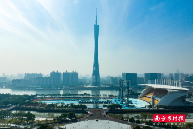 广州城市地标——“小蛮腰”广州塔。（谢进扬 摄）
