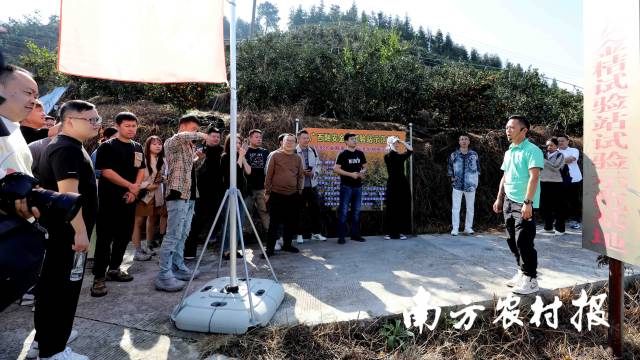 10月31日，在广西柳州市融安县大将镇设洞村，种植户陈名钢（右一）向外地水果经销商、连锁渠道商和网络带货达人介绍基地的金桔情况。（覃庆和 摄）