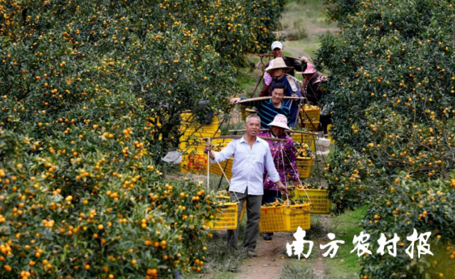 图片来源：融安县融媒体中心