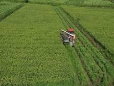 保障粮食和农产品稳定供给，韶关浈江这样做