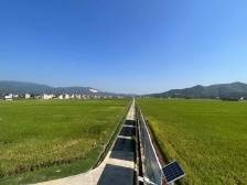 河源市东源县：乡村振兴示范带带动村美民富