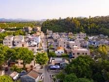 珠海莲江村党总支书记邓昔强：全力绘好现代版“富春山居图”｜“百千万”现场会