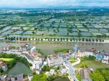 江门鹤山市委书记刘志刚：力争2025年进入全国工业百强县｜“百千万”现场会