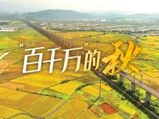 惠州这些“丰”景，请查收！