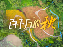 绝美花海、古树公园！轻松get黄埔油画大片 →