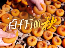 汕头人的“霜降”，竟藏在这里！