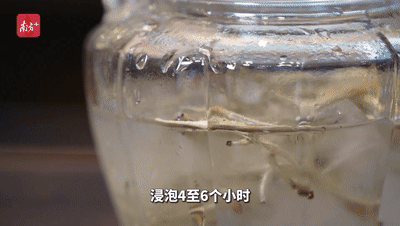 南方+ 戴嘉信 拍摄