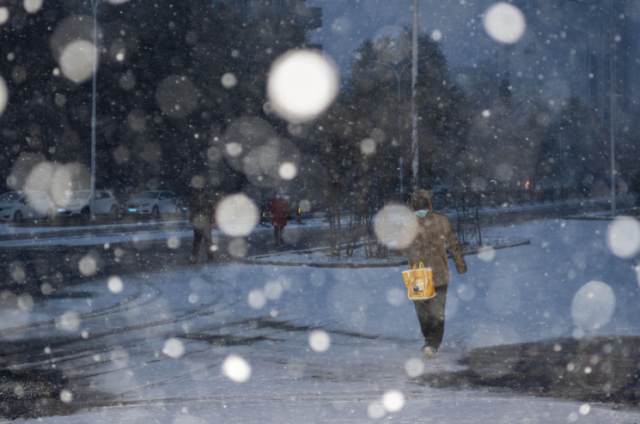 11月6日,在哈尔滨市香坊区,行人在雪中行走.图/新华社