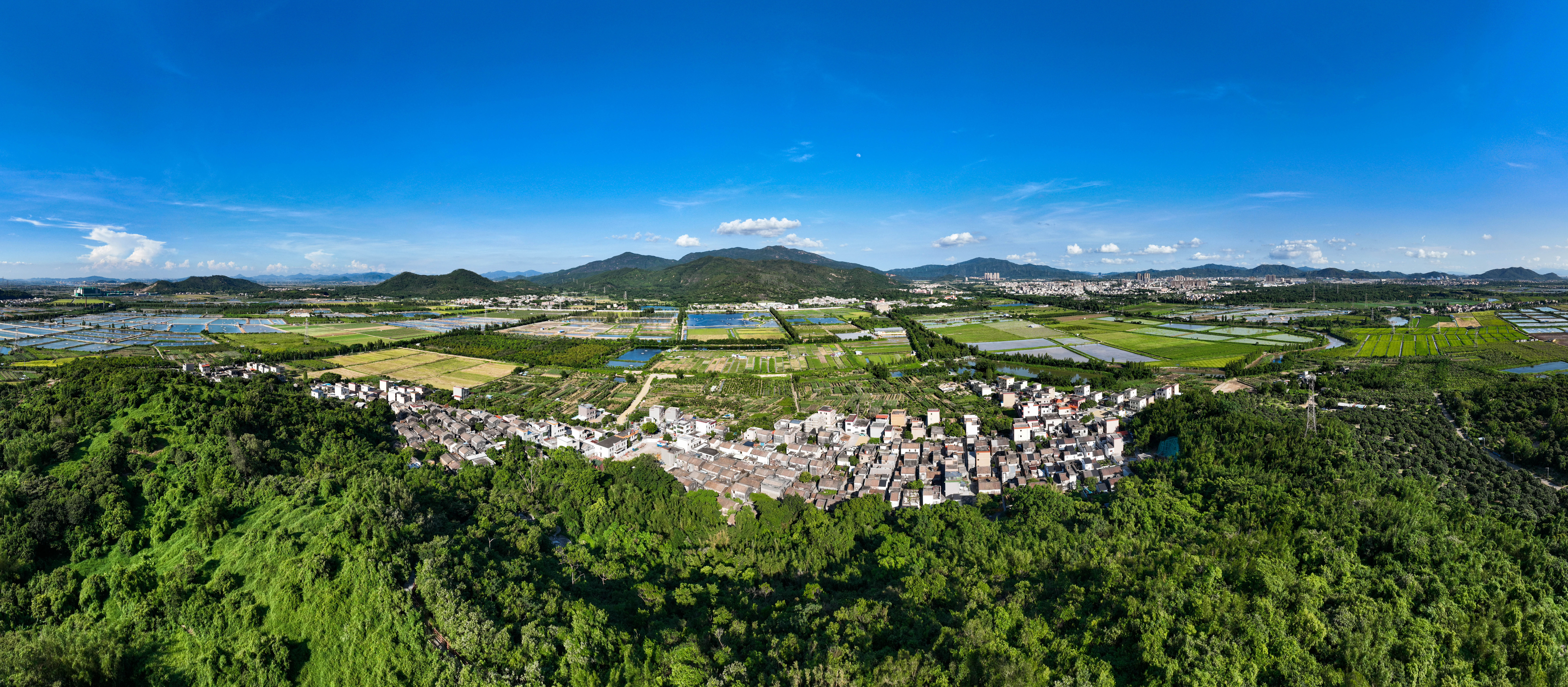 斗门区下洲村绿意浓浓。