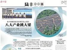 八大产业挑大梁 | 速览《南方日报·陆丰视窗》第28期