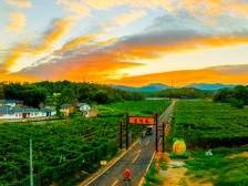 视频 | 深圳福田帮扶河源和平：“活水”灌溉小山村致富田