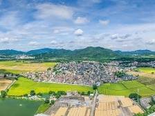 点赞！中山3镇15村入选广东“百千万工程”首批典型镇村名单