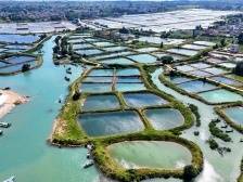 奋起“百千万” 激活“潜力板”——广东百县千镇万村高质量发展一线观察