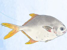 聚力“百千万工程”，打卡“广东特有料”