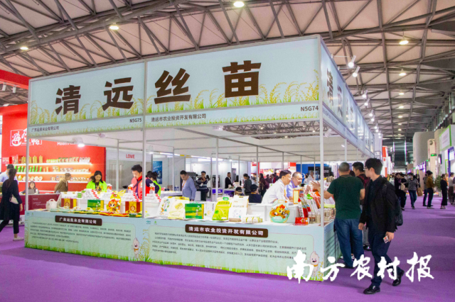 清远丝苗米亮相第二十六届FHC上海环球食品展。何昊凤摄