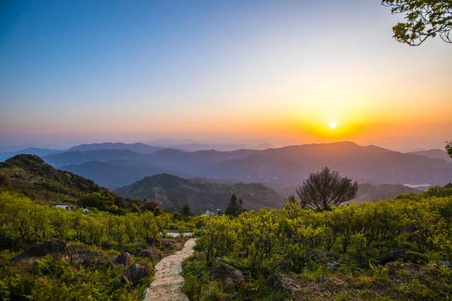 潮州凤凰单丛产区：潮州凤凰山。