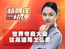 “省长+特首”力推三地联手招商 | 杨阿洋快评
